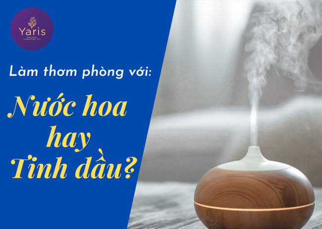 Làm thơm phòng: dùng nước hoa xịt phòng hay tinh dầu thơm?