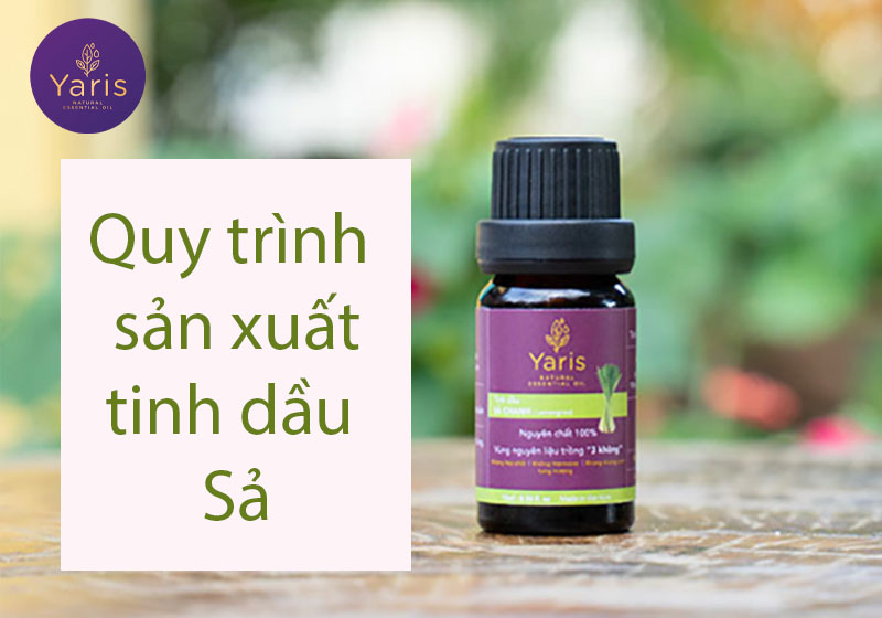 Phương pháp và Quy trình sản xuất chưng cất tinh dầu Sả Yaris