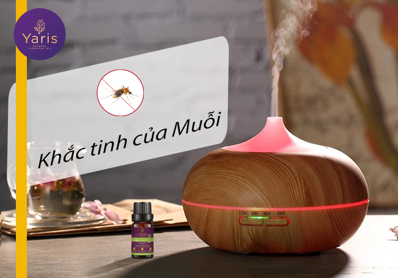 Tinh dầu Sả - Kẻ khắc tinh số 1 của loài MUỖI