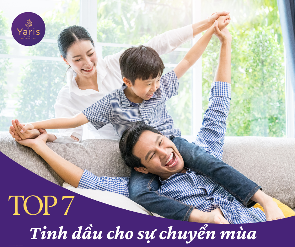 Top tinh dầu cho sự chuyển mùa, giao mùa