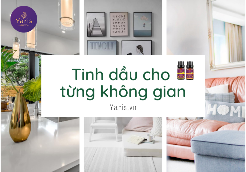 Bí quyết chọn tinh dầu 