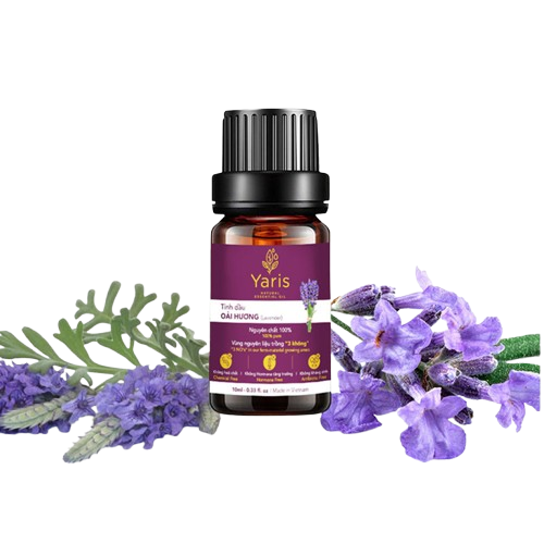 Tinh Dầu Oải Hương – Chạm Vào Bình Yên Cùng Yaris
