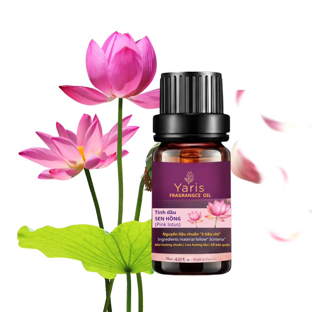 Tinh Dầu Sen Hồng (Pink Lotus Fragrance Oil)
