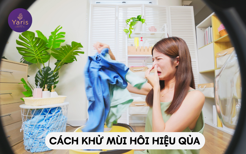 Mùi hôi phòng chỉ còn là chuyện nhỏ!