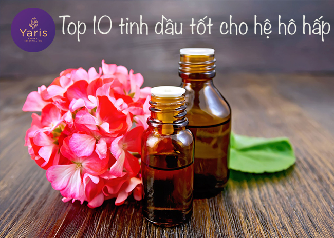 Top 10 tinh dầu kháng khuẩn không gian ngăn ngừa các bệnh đường hô hấp