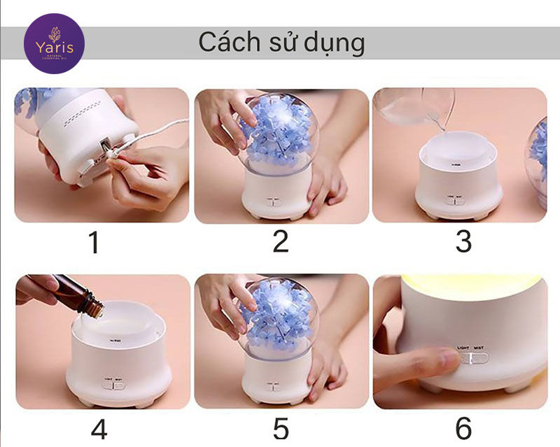 [So sánh] Máy khuếch tán tinh dầu siêu âm và Đèn xông tinh dầu