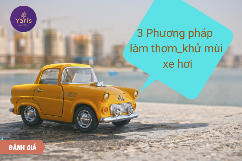 Đánh giá 4 phương pháp làm thơm và khử mùi xe hơi phổ biến hiện nay