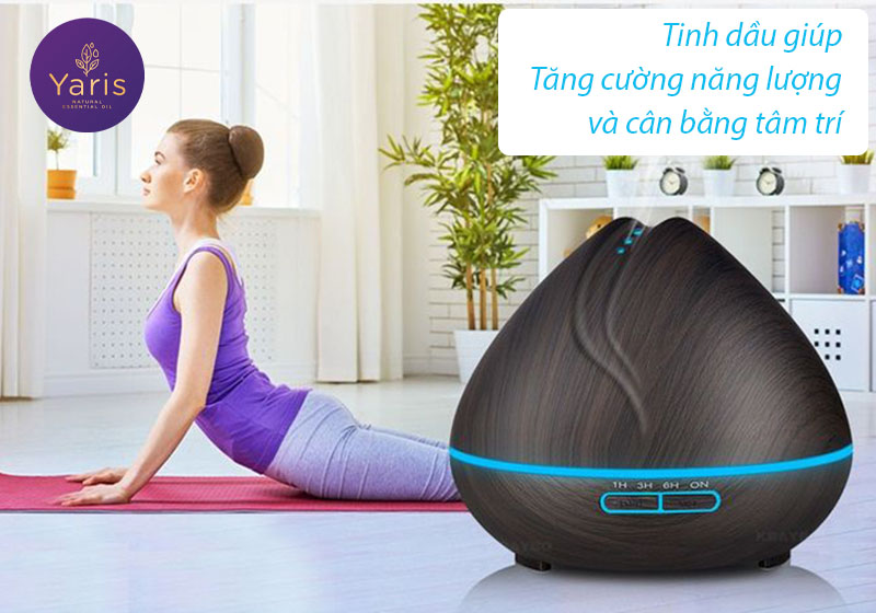 10 Điều cơ bản về Tinh dầu 