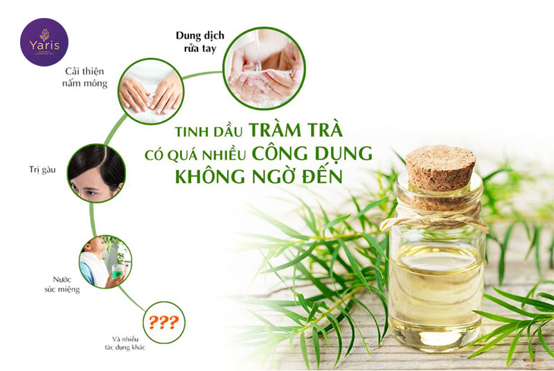 Khi có tinh dầu Tràm Trà trong tay, bạn sẽ làm được những gì 2