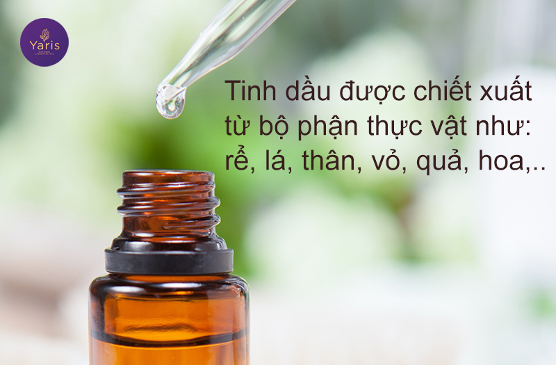 Làm thơm phòng: dùng nước hoa hay tinh dầu thơm?