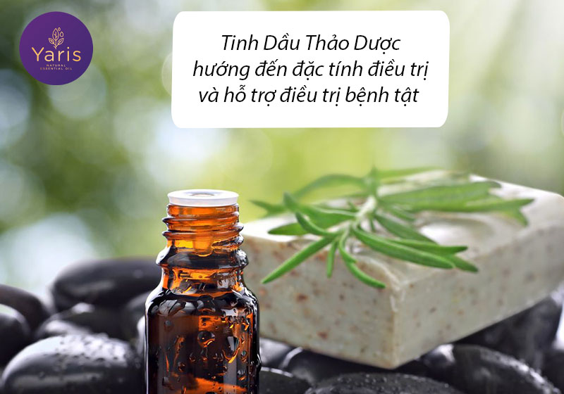 Phân biệt các Khái niệm và Thuật ngữ về tinh dầu