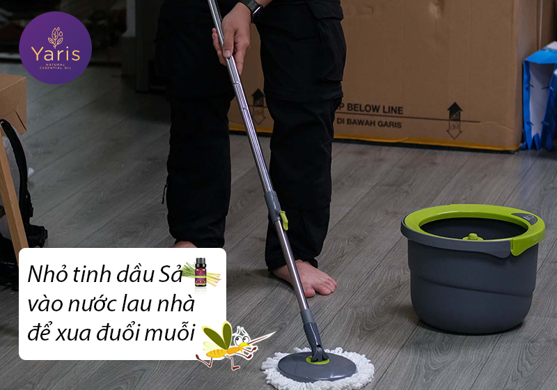 Tinh dầu Sả - Kẻ khắc tinh số 1 của loài MUỖI