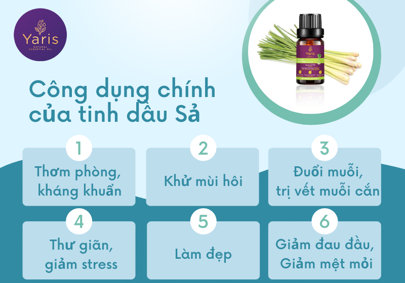 Tinh dầu Sả là gì