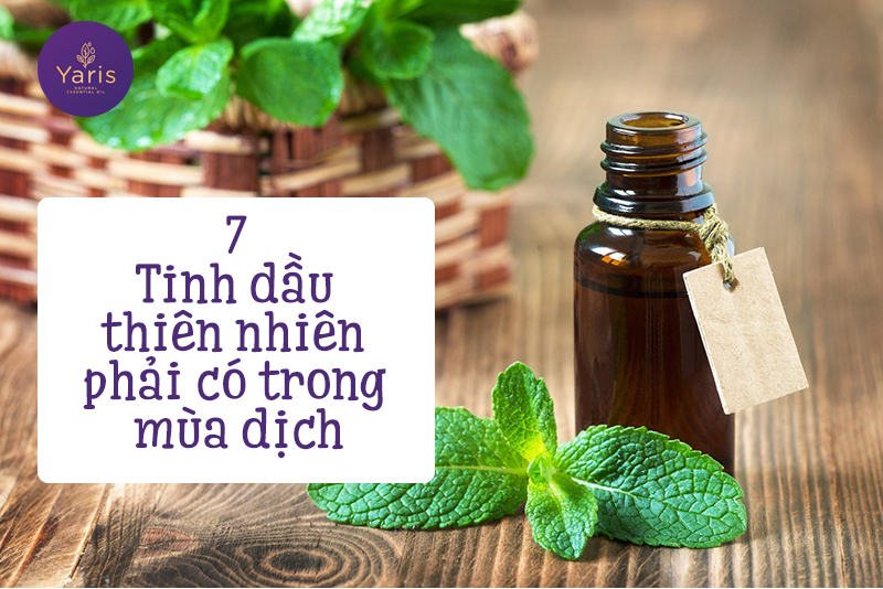 Top 7 tinh dầu thiên nhiên “MUST-HAVE” trong mùa dịch